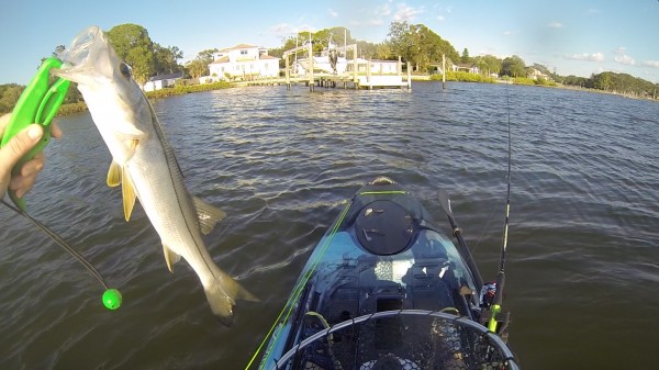 snook caught off vibe seaghost 110